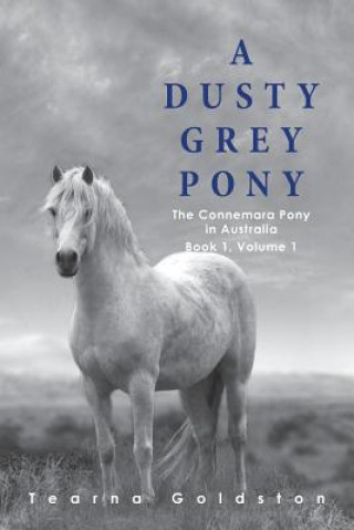 Könyv Dusty Grey Pony Book 1 Volume 1 Tearna Goldston