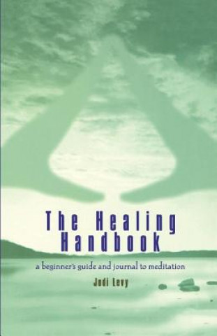 Kniha Healing Handbook Jodi Levy