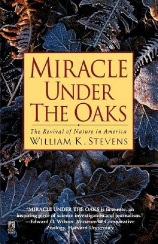 Książka Miracle Under the Oaks Stevens