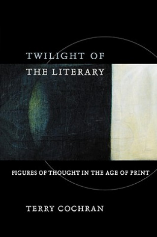 Kniha Twilight of the Literary Terry Cochran