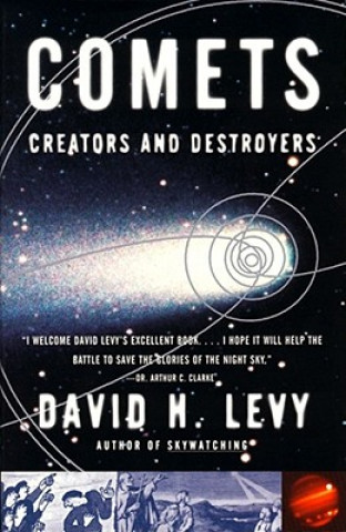 Kniha Comets David H. Levy