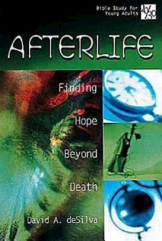 Könyv Afterlife David A. DeSilva