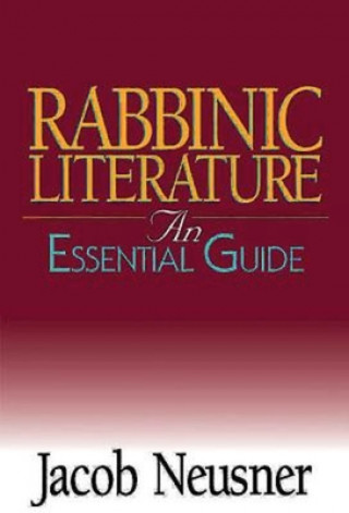 Kniha Rabbinic Literature Neusner