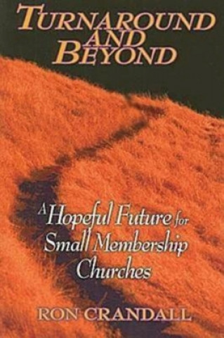 Livre Turnaround and Beyond Ron Crandall