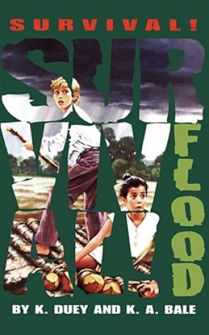 Книга Flood Karen A. Bale