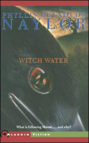 Kniha Witch Water Phyllis Reynolds Naylor