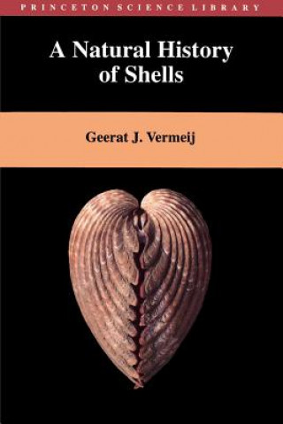 Book Natural History of Shells Geerat J. Vermeij