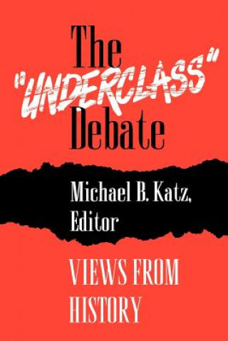 Kniha "Underclass" Debate Michael B. Katz