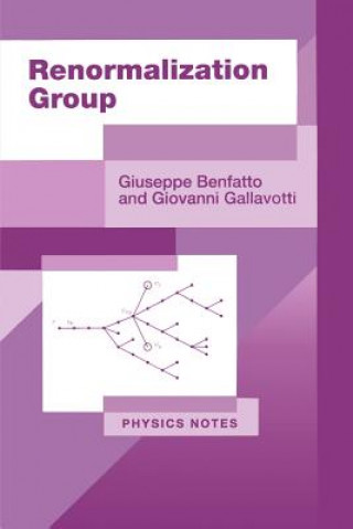 Knjiga Renormalization Group Giovanni Gallavotti