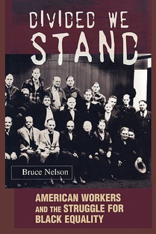 Book Divided We Stand Bruce Nelson