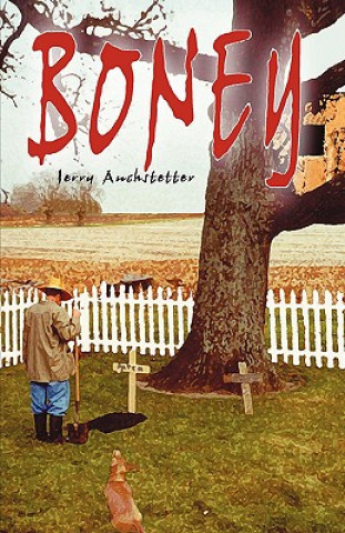 Könyv Boney Jerry Auchstetter