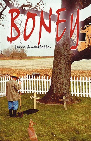 Buch Boney Jerry Auchstetter