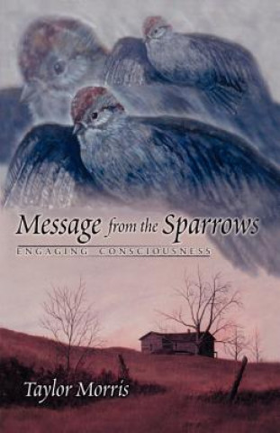 Könyv Message from the Sparrows Taylor Morris