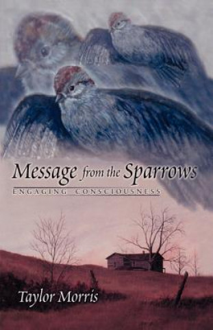 Book Message from the Sparrows Taylor Morris