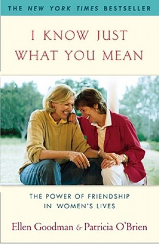 Book I Know Just What You Mean Patricia O'Brien