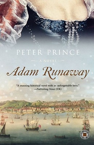 Książka Adam Runaway Peter Prince