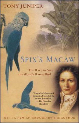 Książka Spix's Macaw Tony Juniper