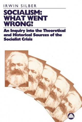 Könyv Socialism: What Went Wrong? Irwin Silber
