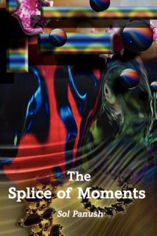 Книга Splice of Moments Sol Panush