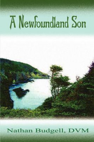 Kniha Newfoundland Son Budgell