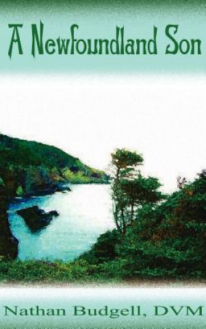 Buch Newfoundland Son Budgell