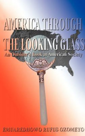 Buch America Through the Looking Glass E R Ozomeyo