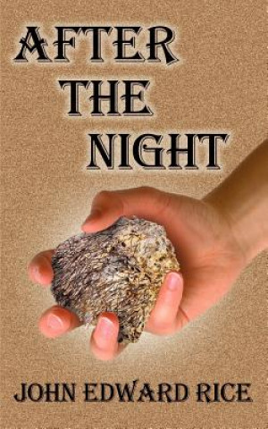 Buch After the Night John E Rice