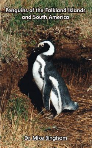 Carte Penguins of the Falkland Islands and South America Dr Mike Bingham