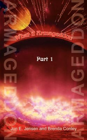 Livre What If Armageddon Brenda J Conley