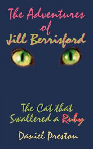 Kniha Adventures of Jill Berrisford Daniel Preston