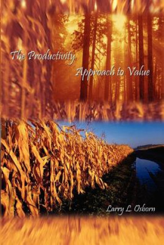 Livre Productivity Approach to Value Larry L Osborn