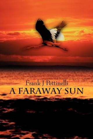 Könyv Faraway Sun Frank J Pettinelli