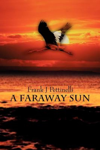 Kniha Faraway Sun Frank J Pettinelli