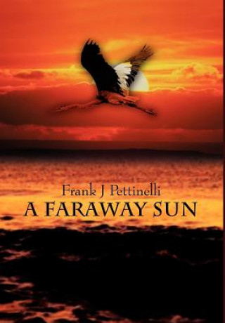 Книга Faraway Sun Frank J Pettinelli