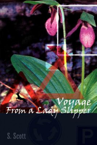 Carte Voyage from a Lady Slipper S Scott