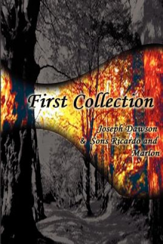 Livre First Collection Marlon Dawson