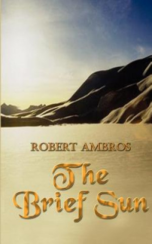 Book Brief Sun Robert Ambros