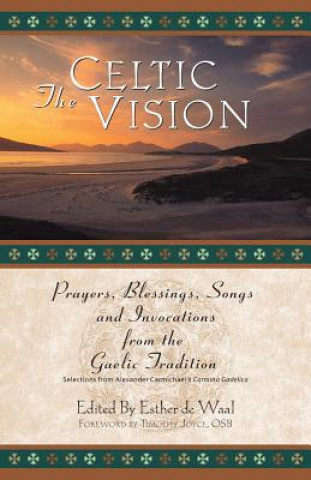 Carte Celtic Vision Timothy J. Joyce