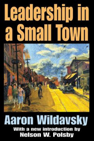 Книга Leadership in a Small Town Aaron Wildavsky