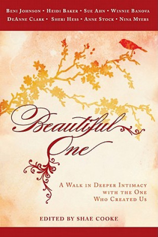 Boek Beautiful One Sue Ahn