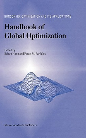 Kniha Handbook of Global Optimization R. Horst