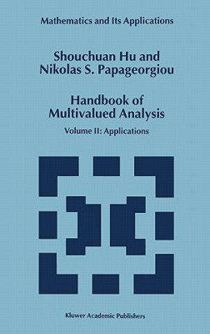 Buch Handbook of Multivalued Analysis Shouchuan Hu