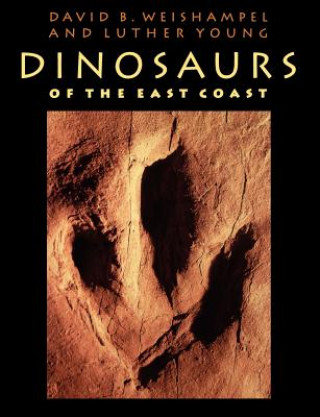 Könyv Dinosaurs of the East Coast Luther Young