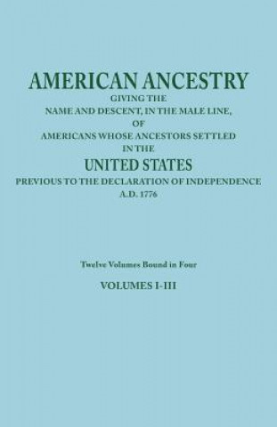 Buch American Ancestry Joel Munsell's Sons