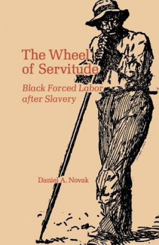 Book Wheel of Servitude Daniel a Novak