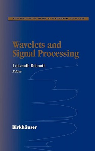 Книга Wavelets and Signal Processing Lokenath Debnath