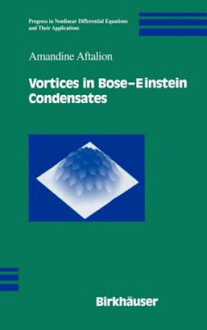 Книга Vortices in Bose-Einstein Condensates Amandine Aftalion