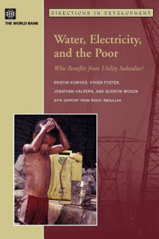 Kniha Water, Electricity, and the Poor Quentin Wodon