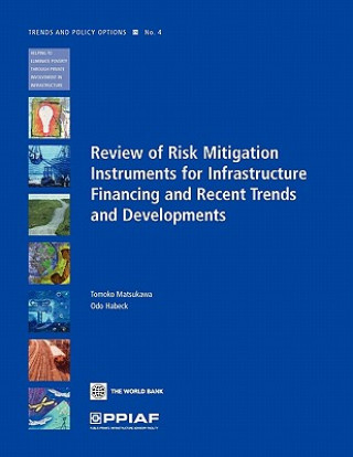 Książka Review of Risk Mitigation Instruments for Infrastructure Odo Habeck