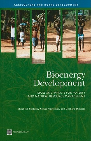 Könyv Bioenergy Development Gerhard Dieterle